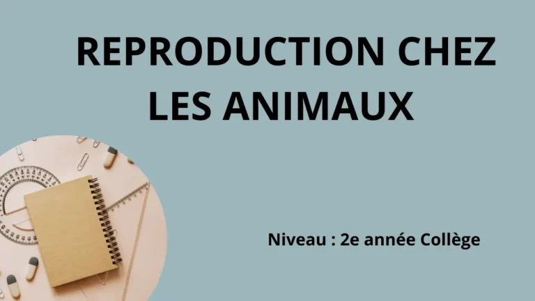 REPRODUCTION CHEZ LES ANIMAUX
